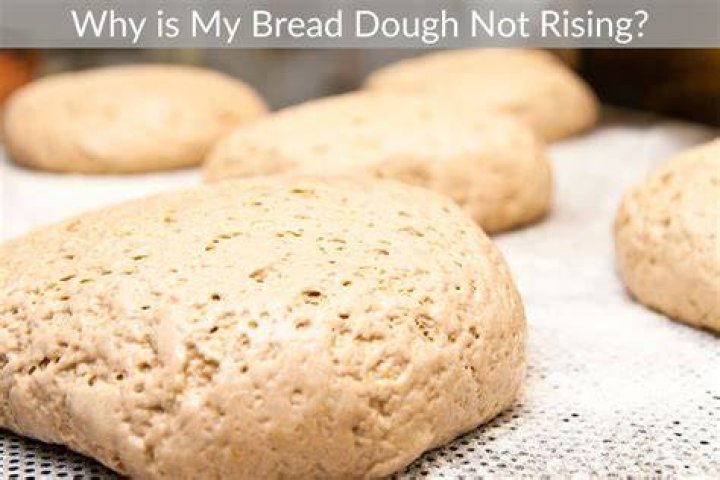 Can you eat bread that has not risen?