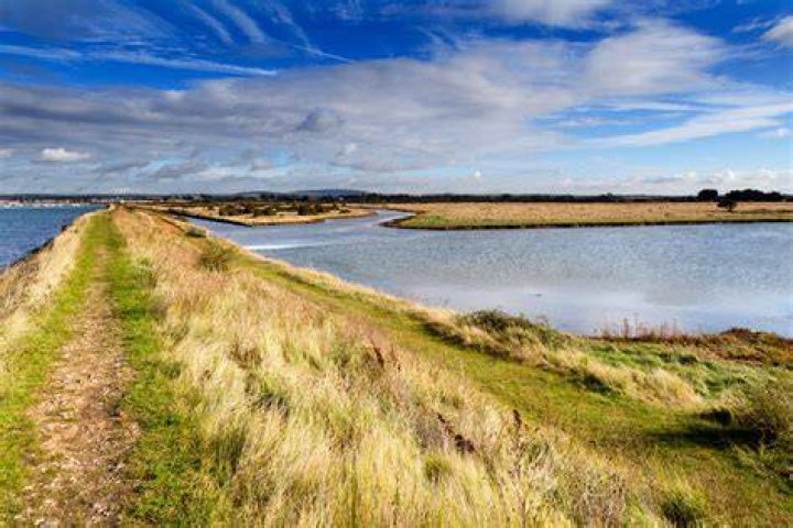 Can you visit thorney island?