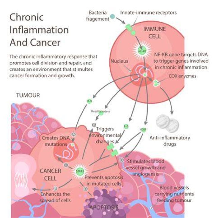 Could inflammation be cancer?