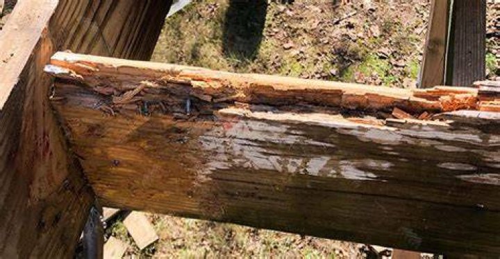 Do you have to replace rotted wood?