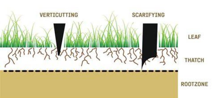 Is verticutting the same as scarifying?