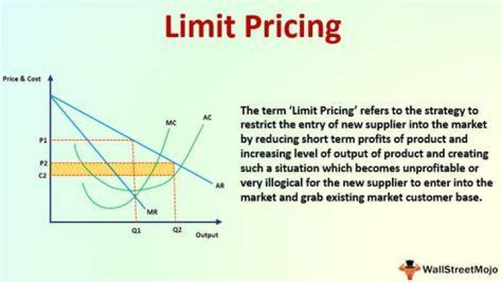 On the limit pricing?