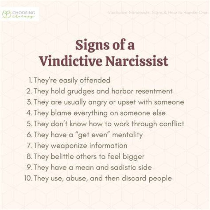 What does spiteful and vindictive mean?