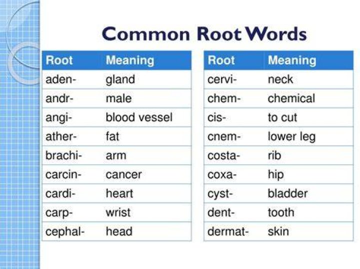 What is the meaning of the medical root word laryngo?