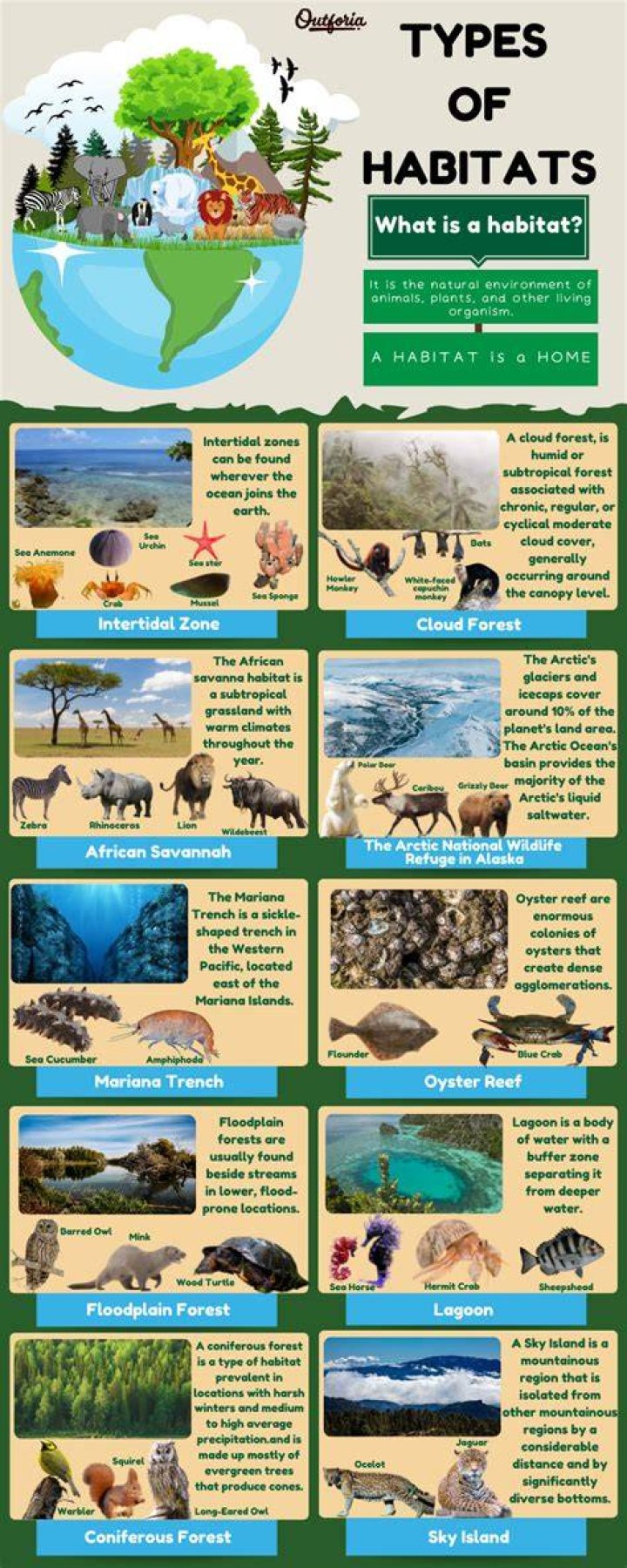 What type of habitat does a cryophile live in?