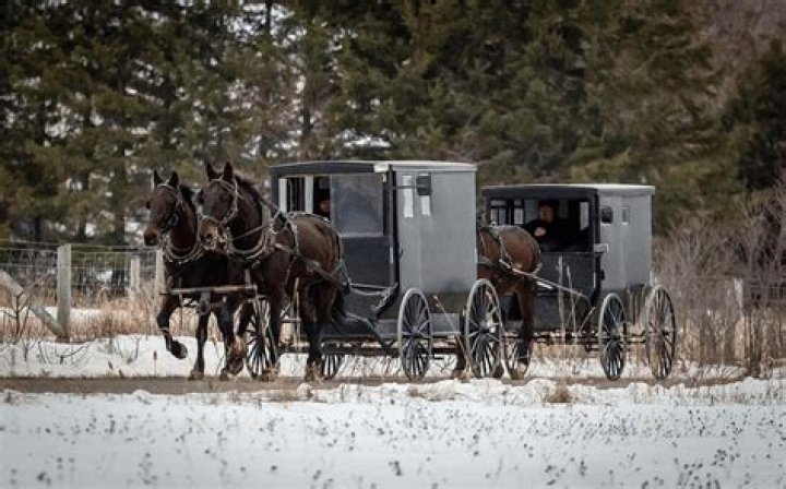 When did mennonites originate?