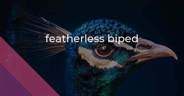 Where does featherless biped come from?