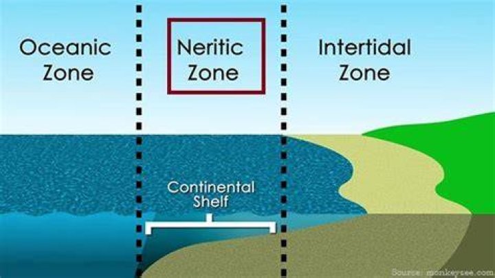 Which is the neritic zone?
