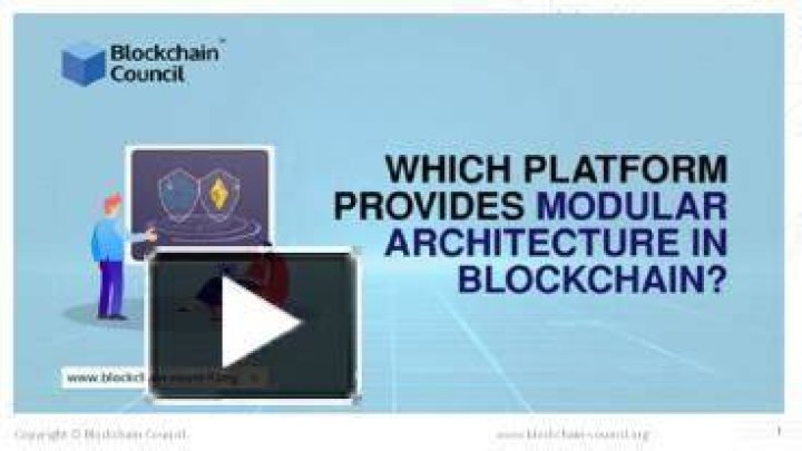 Which of the following platform(s) provides a modular architecture in blockchain?