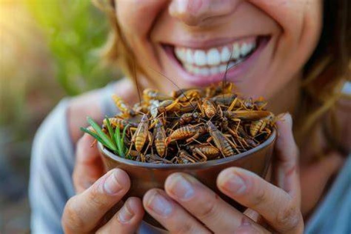 Will eating insects save our earth?